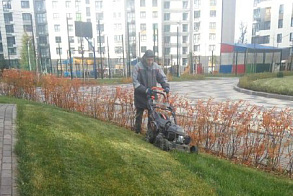 Результаты благоустройства