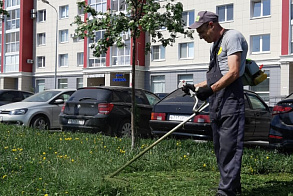 Результаты благоустройства