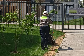 Результаты благоустройства