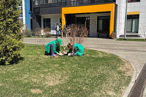 Результаты благоустройства