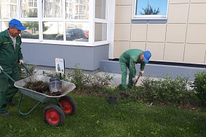 Результаты благоустройства