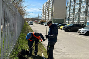 Результаты благоустройства