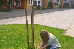 Результаты благоустройства