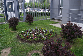 Результаты благоустройства