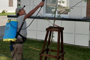Результаты благоустройства