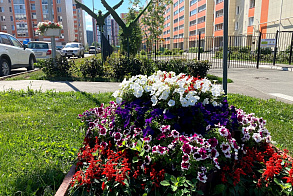 Результаты благоустройства