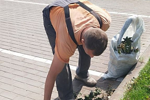 Результаты благоустройства