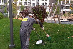 Результаты благоустройства