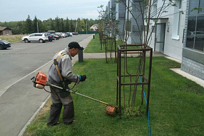 Результаты благоустройства