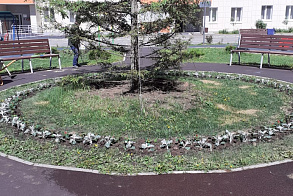 Результаты благоустройства