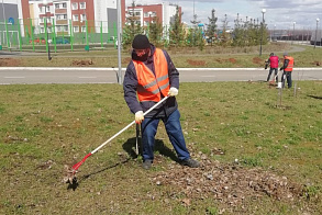 Результаты благоустройства