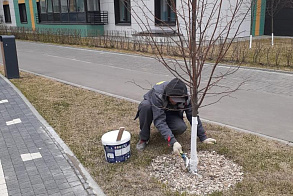 Результаты благоустройства
