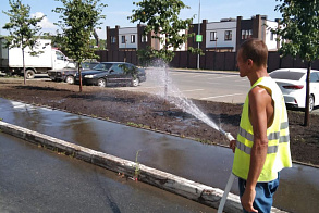 Результаты благоустройства