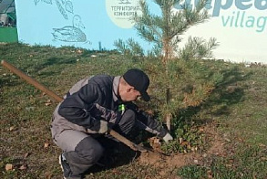 Результаты благоустройства