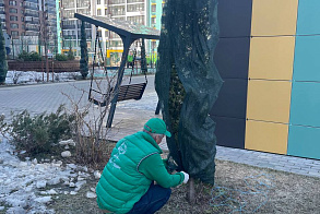 Результаты благоустройства