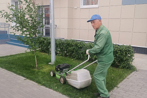 Результаты благоустройства