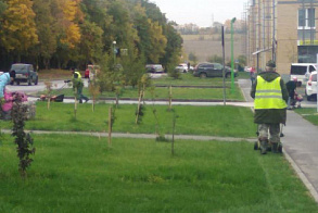 Результаты благоустройства
