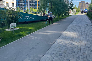 Результаты благоустройства