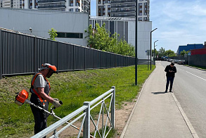 Результаты благоустройства