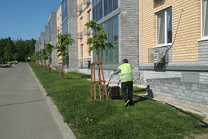 Результаты благоустройства