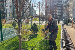Результаты благоустройства