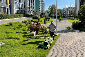 Результаты благоустройства