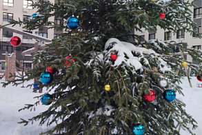 Результаты благоустройства