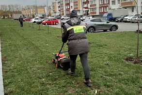 Результаты благоустройства