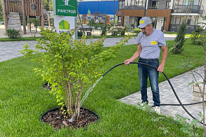 Результаты благоустройства