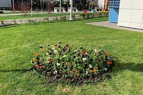 Результаты благоустройства