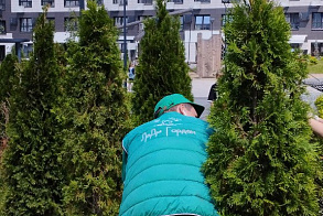 Результаты благоустройства