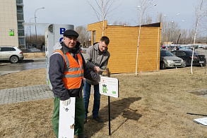 Результаты благоустройства