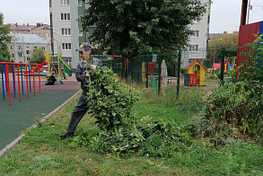 Результаты благоустройства