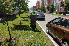 Результаты благоустройства