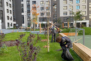 Результаты благоустройства