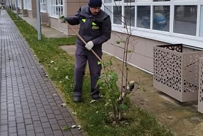Результаты благоустройства