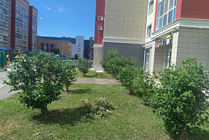 Результаты благоустройства