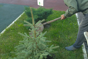 Результаты благоустройства
