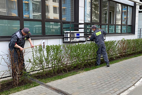 Результаты благоустройства