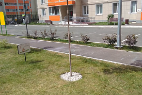 Результаты благоустройства