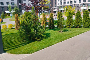 Результаты благоустройства