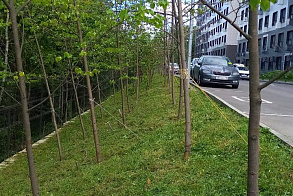 Результаты благоустройства