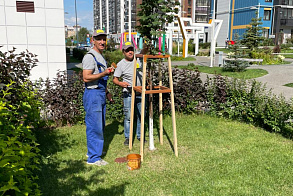Результаты благоустройства
