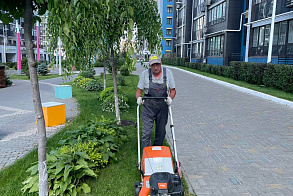 Результаты благоустройства