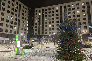 Результаты благоустройства