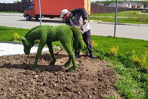Результаты благоустройства