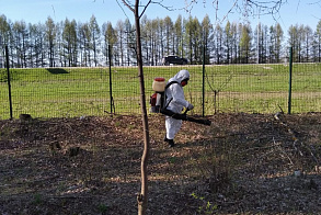 Результаты благоустройства