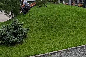 Результаты благоустройства