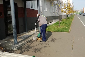 Результаты благоустройства
