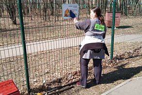 Результаты благоустройства